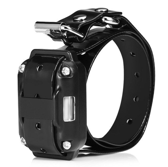Electric Dog Pet Training Collar/dog shock collar/small dog shock collar/electric dog collar/best dog shock collar/sport dog shock collar