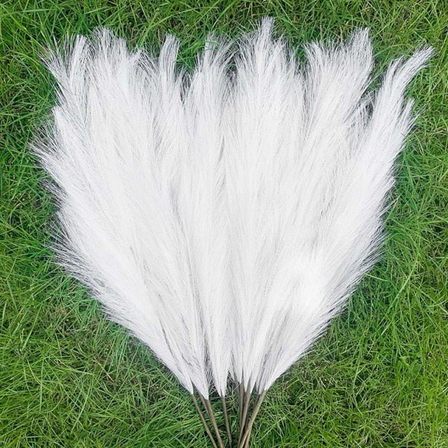 Pampas Grass Large Fluffy Tall Dried Grey Natural Home Decor/pampas grass/decorative pampas grass/pink pampas grass/pampas grass for sale/dried pampas grass